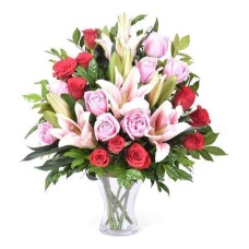 Lily Love